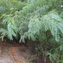 에제르 요양병원 | 위암요양병원 에제르병원, 담담하게 적어본 후기