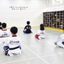 정화 태권도장 이미지