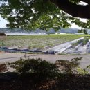 운교농장 이미지