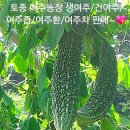 여주-0336 이미지