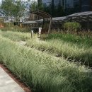 우미린레이크파크 이미지