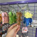 후라노 버스투어 후기 1편 | 스나가와휴게소, 패치워크로드, 오야꼬, 켄메리, 세븐스타, 준페이 솔직후기