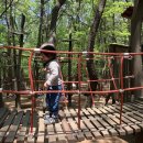 내원정사 옆 이미지