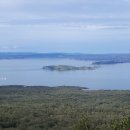 오클랜드의 아름다운 무인 관광섬 랑기토토 섬(Rangitoto Island) 트램핑. 이미지