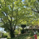 JUNHO HOUSE | [ 전시 관람 후기 ] 양림동 전시회 추천! <불불불불> / 호랑가시나무창작소 입주작가들의 전시, 재밌는...