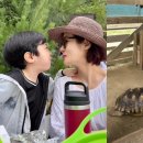 채림농장 이미지