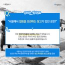 13코스 #2-2 이미지