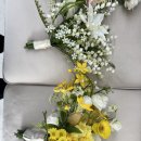 네일파르크 | #6. 웨딩 촬영 준비하기 - 사전미팅, 시안, 웨딩염색, 소품 등