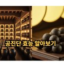 동의보감해독한의원 | 공진단 효능 알아보기