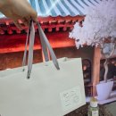 [부모님선물추천] 혜윰 별빛침향환, 진심을 담은 건강식품선물 후기