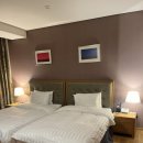 소노펠리체 델피노 이미지