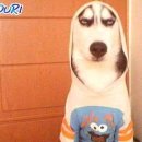 쓰마일