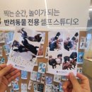 온사랑펫 | 오산 애견카페 펫부스PETBOOTH 너를위한카페🐶 강아지 5마리와 펫부스 촬영후기