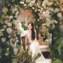 헤세드(hesed) 이미지