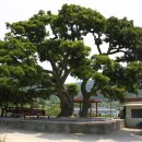 월촌보건진료소 이미지