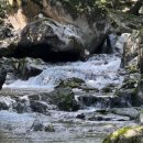 다은이네 민박 이미지