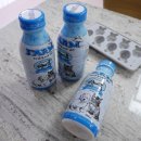 클라이네독 이미지