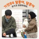 나래애견미용 | 기안84 유기견보호소 위치 알콩이 달콩이 입양