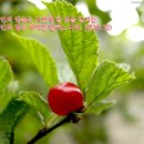 찬미상회