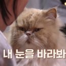 지은민박