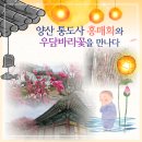 신비부동산공인중개사사무소 네이버블로그