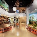 서대문자연사박물관 이미지