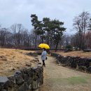 가산수피아 | 📍 가산수피아 비오는날 방문 후기 | 수피아 카페까지(모하더그린하우스)