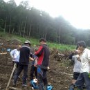 버들골농장 이미지