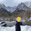 상상초월옷세상 이미지