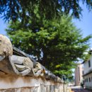 단계초등학교 이미지