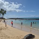 몰디브 | 휴양지 후기(몰디브, 하와이, 발리, 다낭, 나트랑)