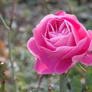 군서북초등학교 이미지