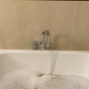 호텔 엔트라 이미지