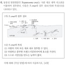 모고질문(시알산,리소좀) 이미지