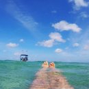 인하대부속중학교 이미지