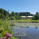 만리포해수욕장 관광지 이미지