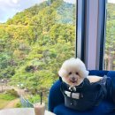 횡성호수길 주차장 화장실 | 강원도 횡성 산속 계곡카페 &#39;호수길133 카페&#39; 나는 솔로 28기 촬영지