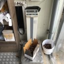 왕축농원 이미지