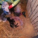 조산농장 이미지