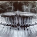 산호치과의원 이미지