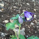 송촌2리 마을회관 이미지