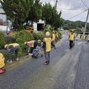 대건농장 이미지