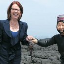 표선리-29 이미지