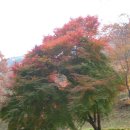 동학사 매표소 이미지