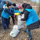 낙서면사무소 이미지