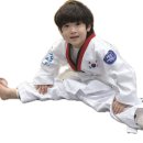 국가대표신동태권도장 이미지
