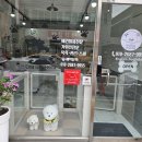 지오애견미용샵 이미지