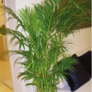 시그널동물병원 이미지