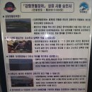 대명돛대 이미지