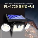 242 이미지